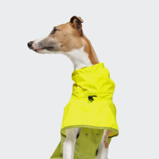 CLOUD7 Hunderegenmantel Aktiv Neon Green/Light Olive