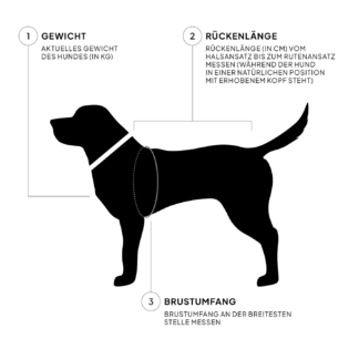 CLOUD7 Hundepullover Gotland Sandy Brown