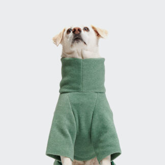 CLOUD7 Hundepullover Windhund Cornwall Dusty Green