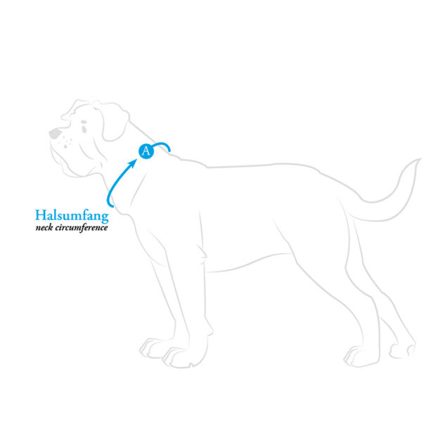 HUNTER Hundehalsband Malia Apricot/Natur