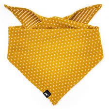 DUFTMARKE Hundehalstuch Dots & Stripes Curry