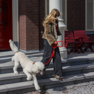 DWAM Hundeleine Gipsy