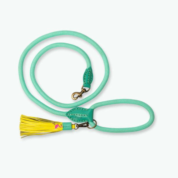 DWAM Hundeleine Chogogo