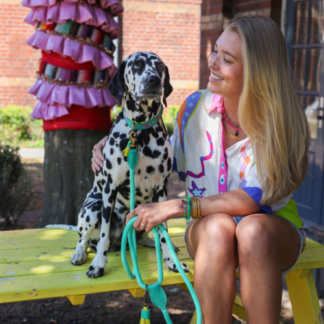 DWAM Hundeleine Chogogo