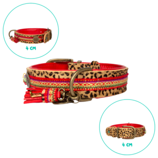 DWAM Halsband Gypsy