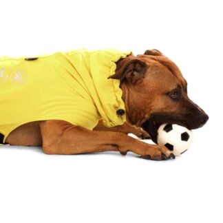 SOFA Dog Wear Hundemantel  Gippy Gelb