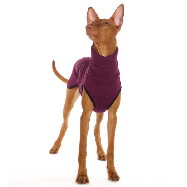 SOFA Dog Wear Hundepullover Hachico K-JUMPER Black Tulip