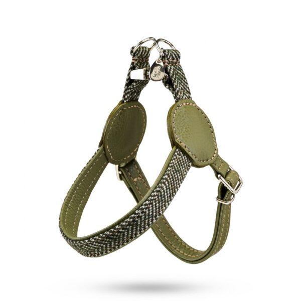 MALUCCHI Geschirr Movie Zick Zack