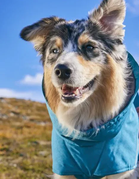 Hurtta Expedition Parka II Eco Parsley