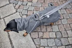 Hurtta Expedition Parka II Eco Parsley