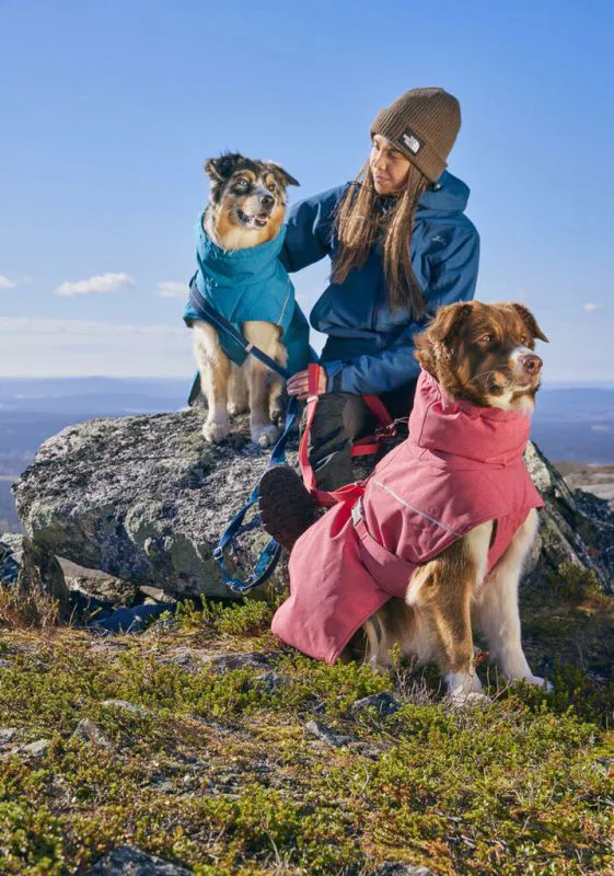 Hurtta Expedition Parker Ii Strawberry Hund Jacke Schutz Wetter Hu 934780 800x800