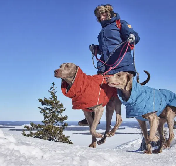 Hurtta Extreme Warmer III ECO Hundemantel Bilberry