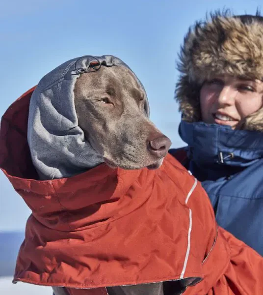 Hurtta Extreme Warmer III ECO Hundemantel Bilberry