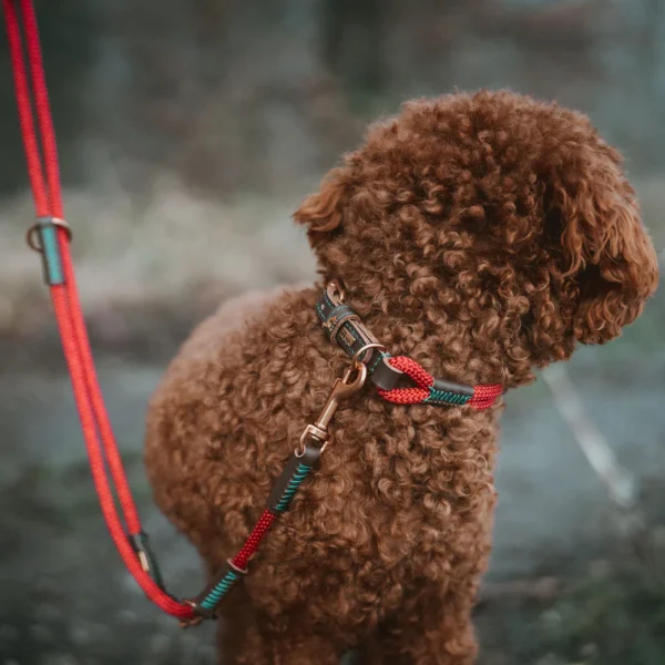 HUNTER Hundeleine Malia Weinrot Dunkelbraun