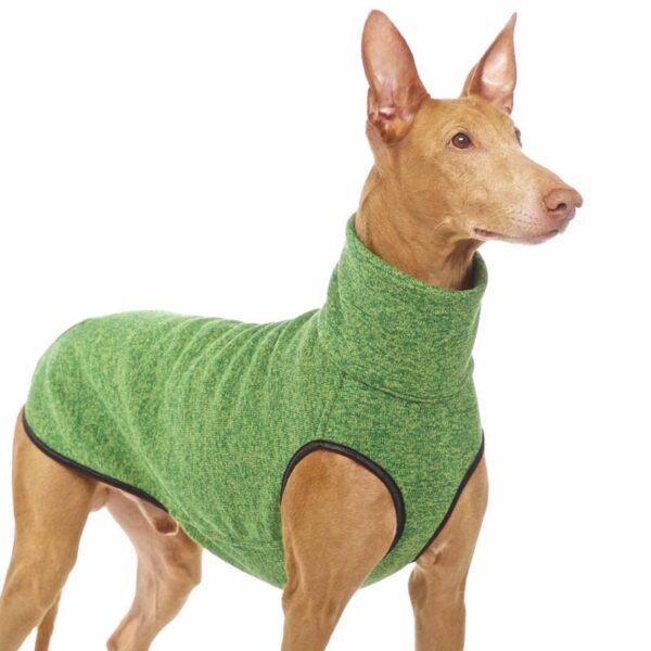 SOFA Dog Wear Hundepullover Hachico JUMPER Grün