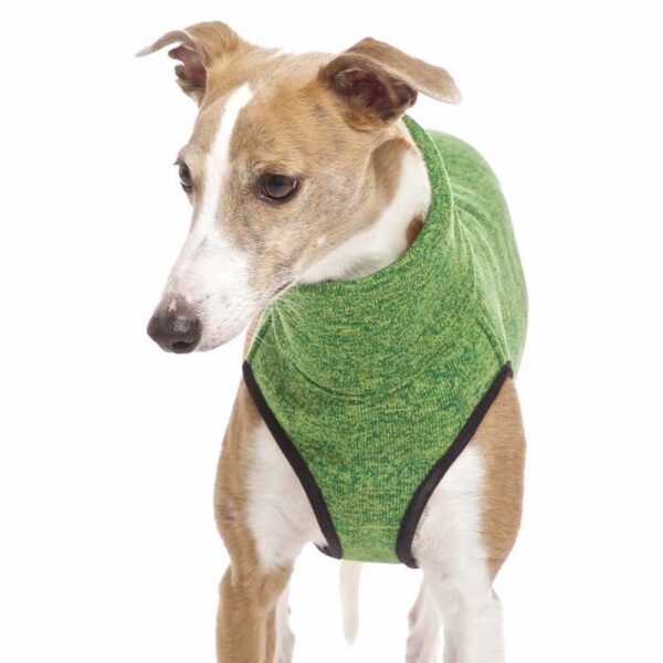 SOFA Dog Wear Hundepullover Hachico JUMPER Grün
