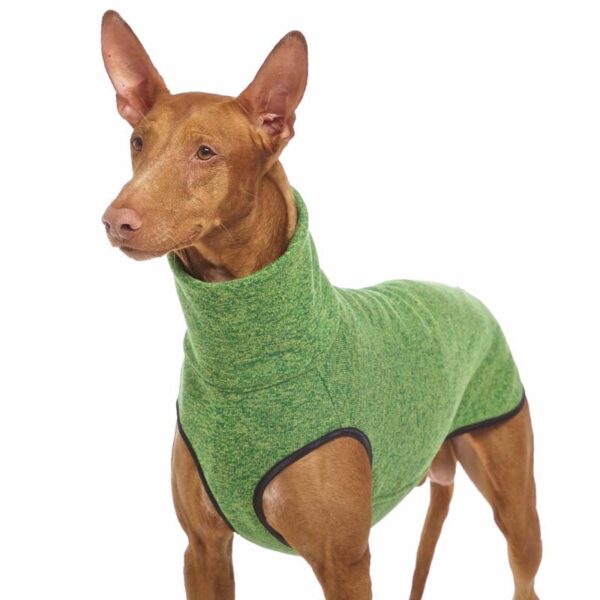 SOFA Dog Wear Hundepullover Hachico JUMPER Grün