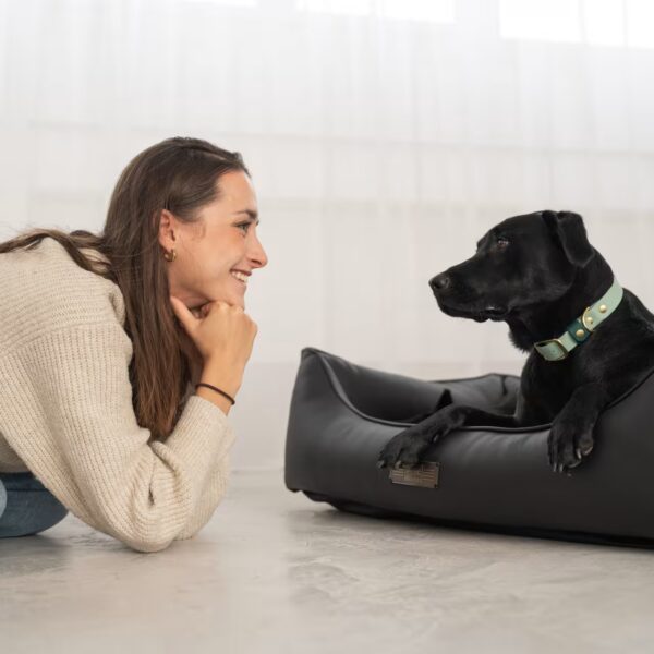 DOGSTYLER Hundebett Bruno Excellent Italian Bordeaux