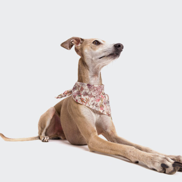 CLOUD7 Hundehalstuch Bandana Flowers Squares