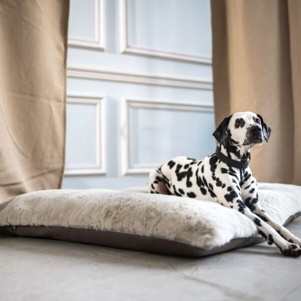 DOGSTYLER Hundekissen KURT Classic Hellgrau