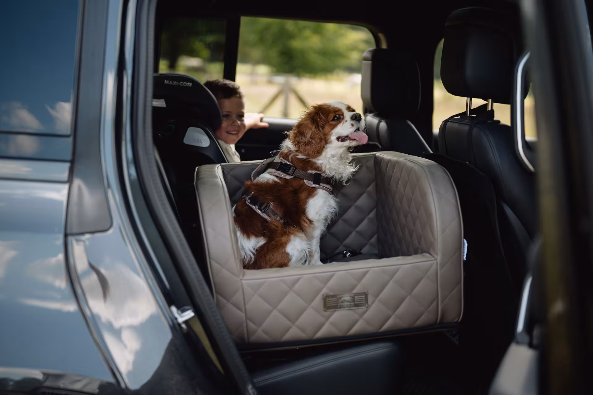 DOGSTYLER Autositz Premium - Classic Greige