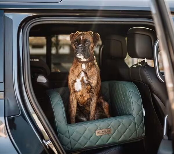 DOGSTYLER Autositz Excellent – Italian Grün