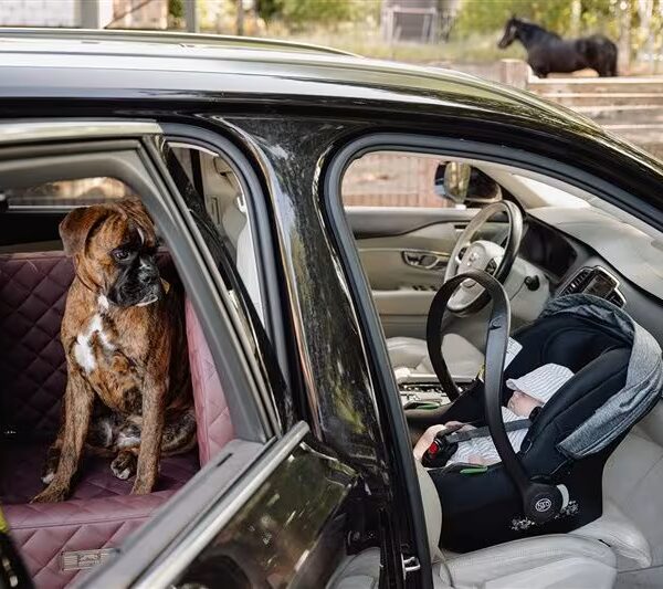 DOGSTYLER Autositz Excellent – Italian Bordeaux