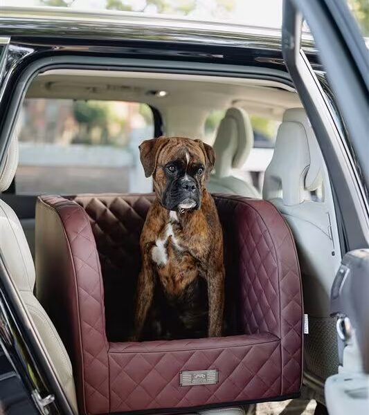 DOGSTYLER Autositz Excellent – Italian Bordeaux