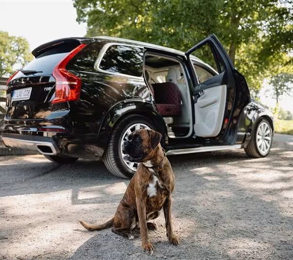 DOGSTYLER Autositz Excellent – Italian Bordeaux