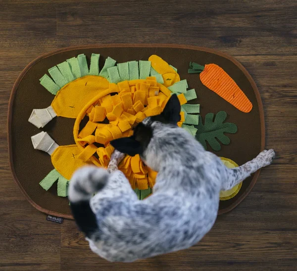 P.L.A.Y. Schnüffelmatte