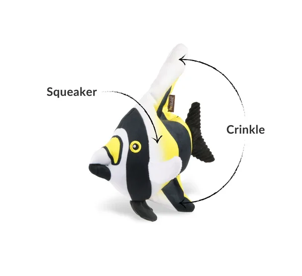 Hundespielzeug P.L.A.Y. Ozean Buddies