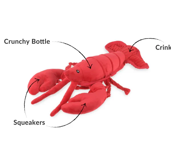 Hundespielzeug P.L.A.Y. Ozean Buddies