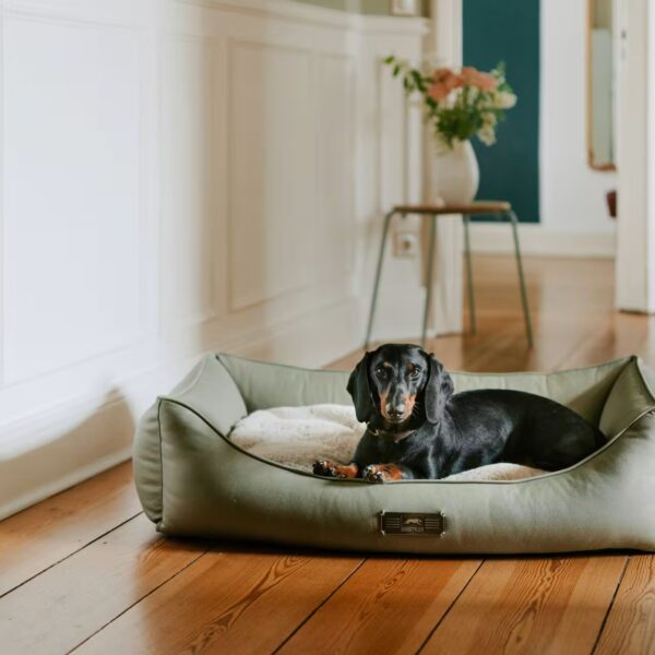 DOGSTYLER Hundebett BRUNO Soft gesteppt Grün