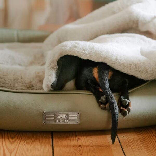 DOGSTYLER Hundebett BRUNO Soft Grün