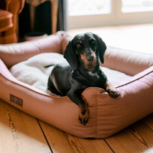 DOGSTYLER Hundebett BRUNO Soft Rost
