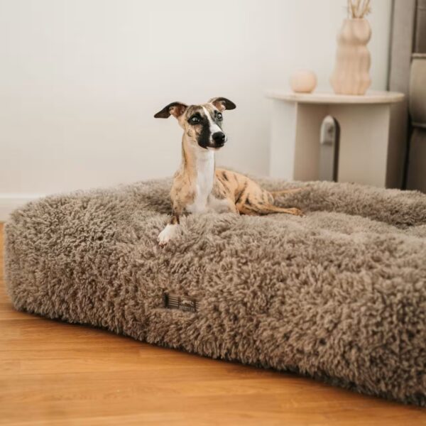 DOGSTYLER Hundekissen KIRA Curly Creme/Beige