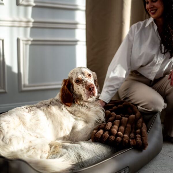 DOGSTYLER Hundedecke DONNA Dunkelbraun