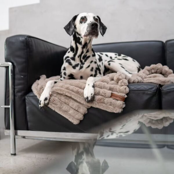 DOGSTYLER Hundedecke DONNA Grau