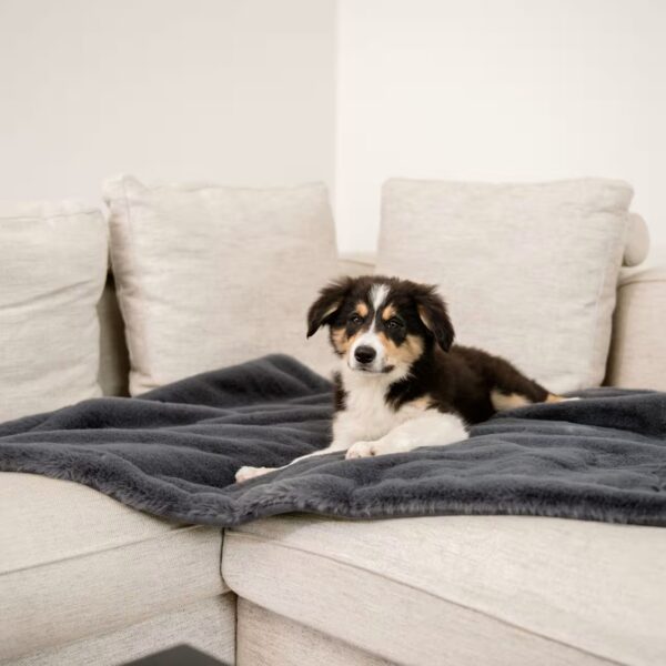 DOGSTYLER Hundedecke DORI