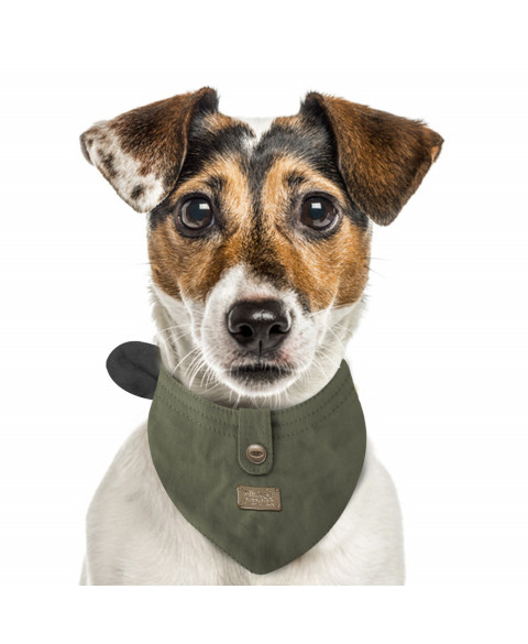Milk & Pepper Bandana Jefferson Oliv