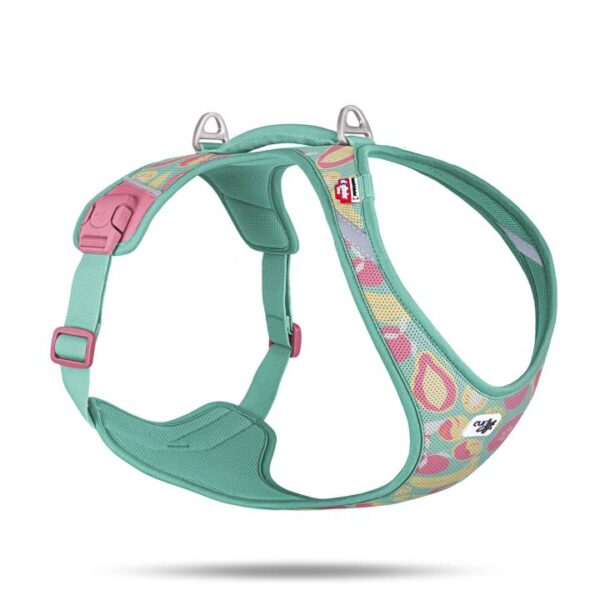 Belka Harness Air-Mesh Juicy Fruits Turquoise