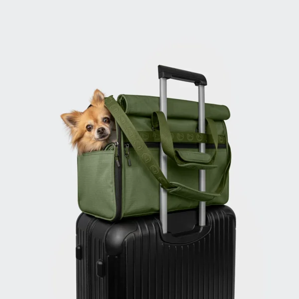 CLOUD7 Hundeflugtasche AKTIV Olive