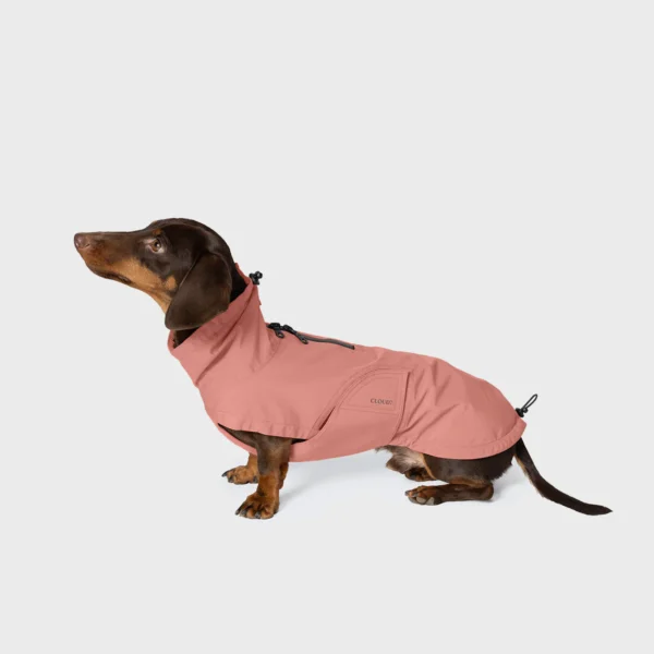 CLOUD7 Hunderegenmantel Dackel Dublin 2.0 Faded Rose