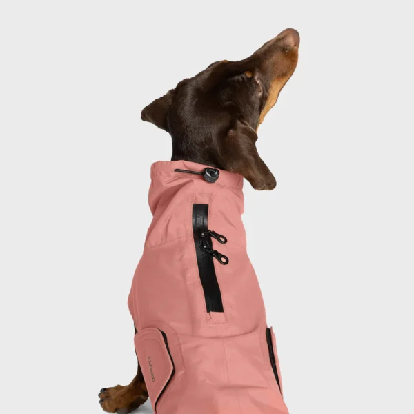 CLOUD7 Hunderegenmantel Dackel Dublin 2.0 Faded Rose