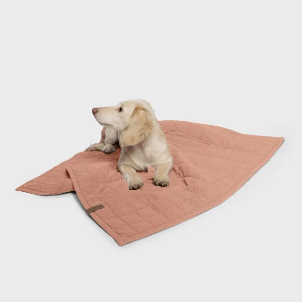 CLOUD7 Hundedecke LTTL Dusty Rose
