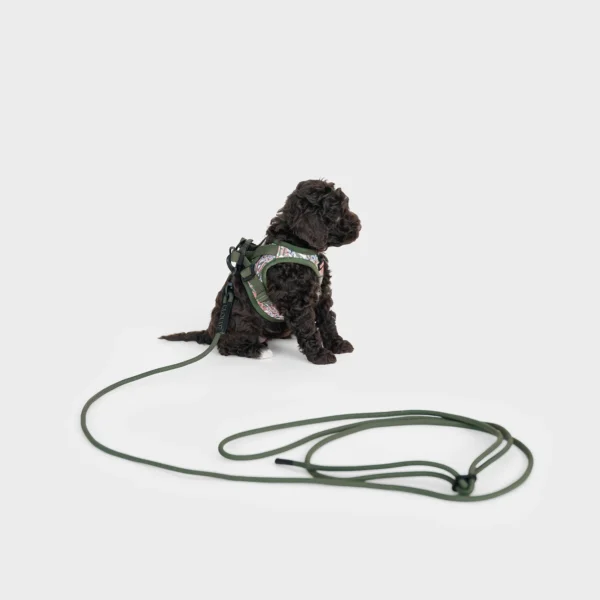 CLOUD7 Seilleine LTTL Dark Olive
