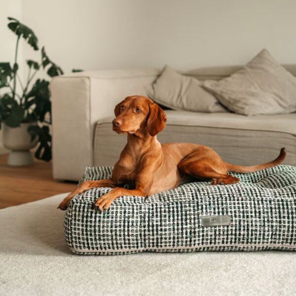 DOGSTYLER Hundekissen KIRA Jacquard