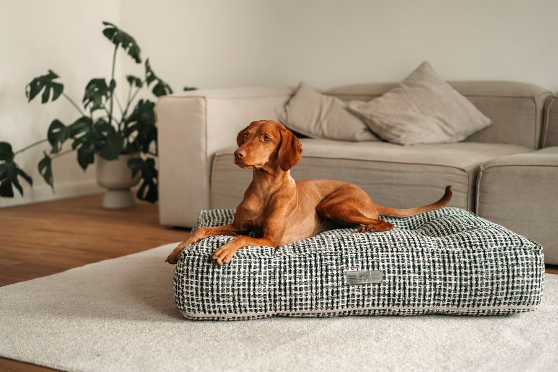 DOGSTYLER Hundekissen KIRA Jacquard