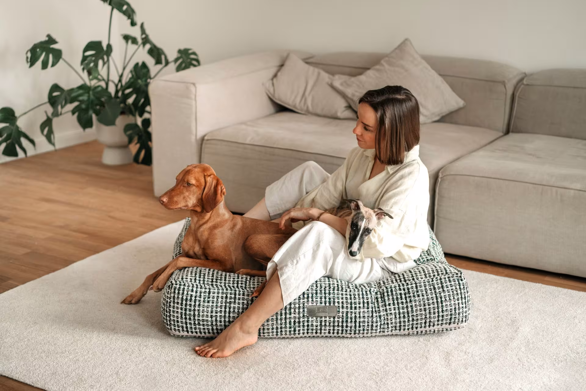 Dogstyler 2024 Livi 077 879a401e76a0ca00f54b3c64c7ff6f4d 1920x1920