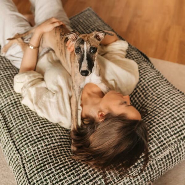 DOGSTYLER Hundekissen KIRA Jacquard